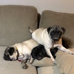 Meet your Posher, Katina